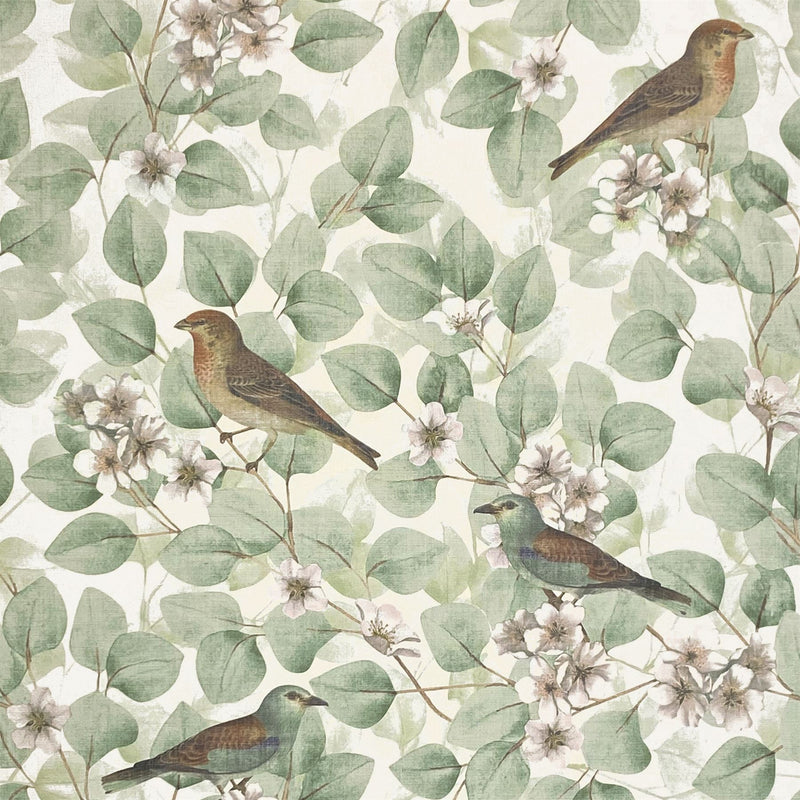 Birds & Blossoms Green Wallpaper image 0