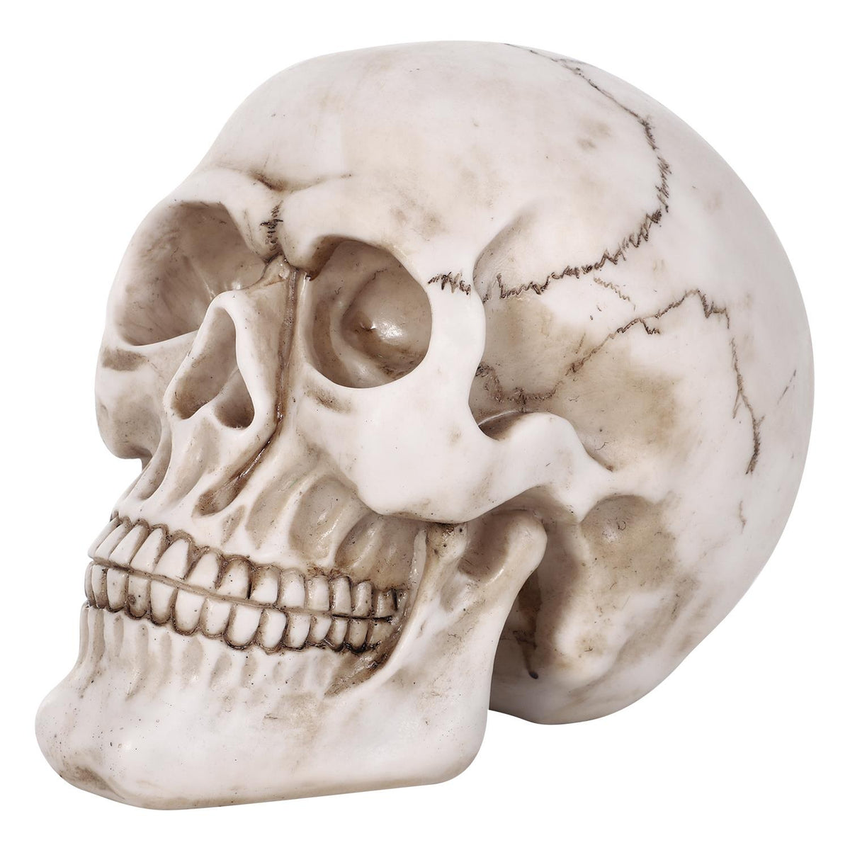 Halloween Skull