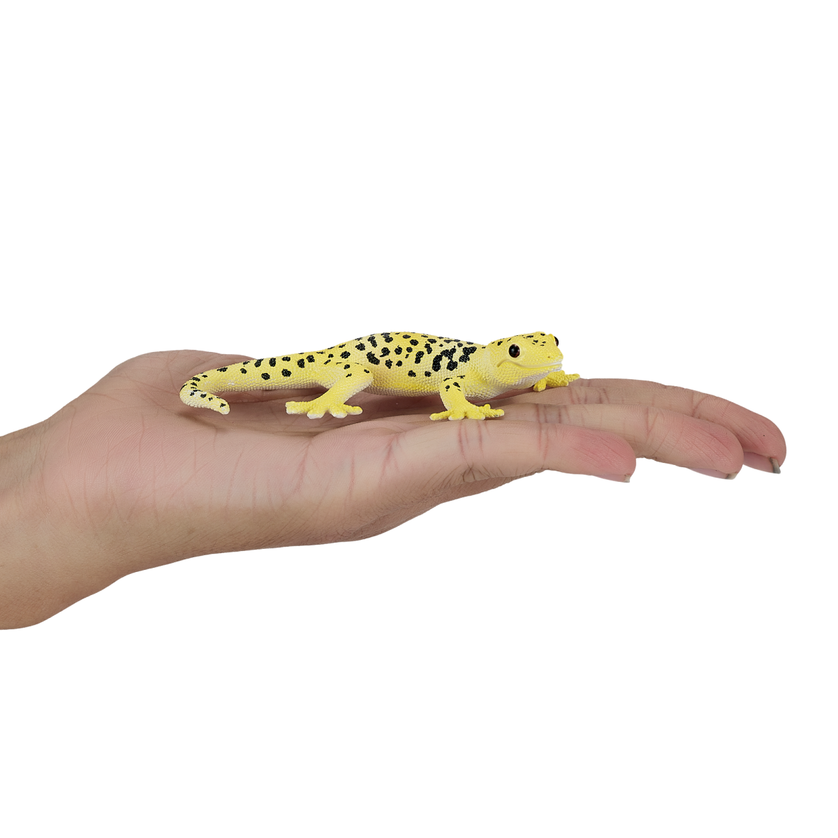 Leopard Gecko Toy  Realistic Reptile Model image 3