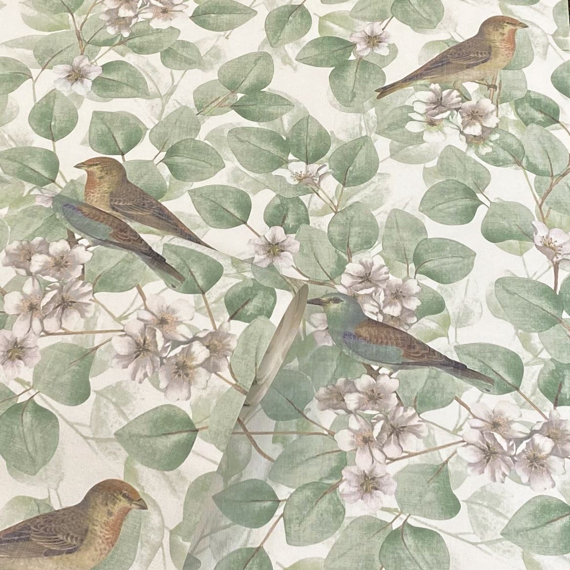 Birds & Blossoms Green Wallpaper image 6