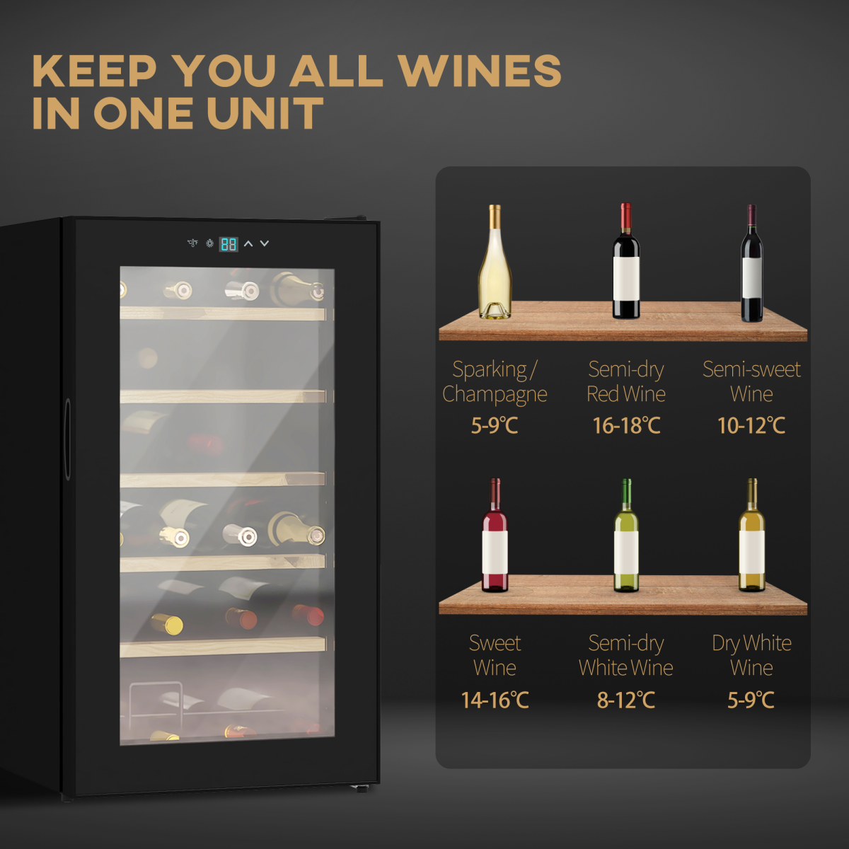 24 Bottles Wine Fridge with Glass Door Digital Touch Screen Control LED