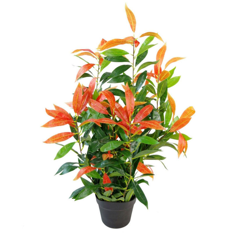 80cm Leaf Realistic Red Robin Artificial Ficus Tree / Plant image 0