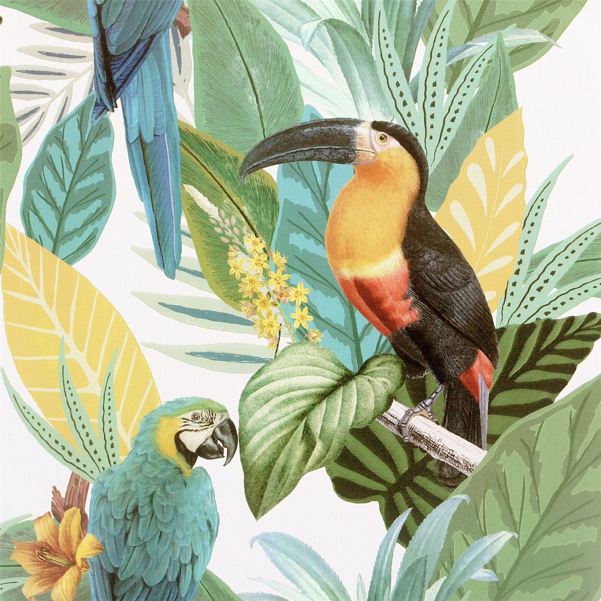 Toucan Jungle Multi Wallpaper image 0