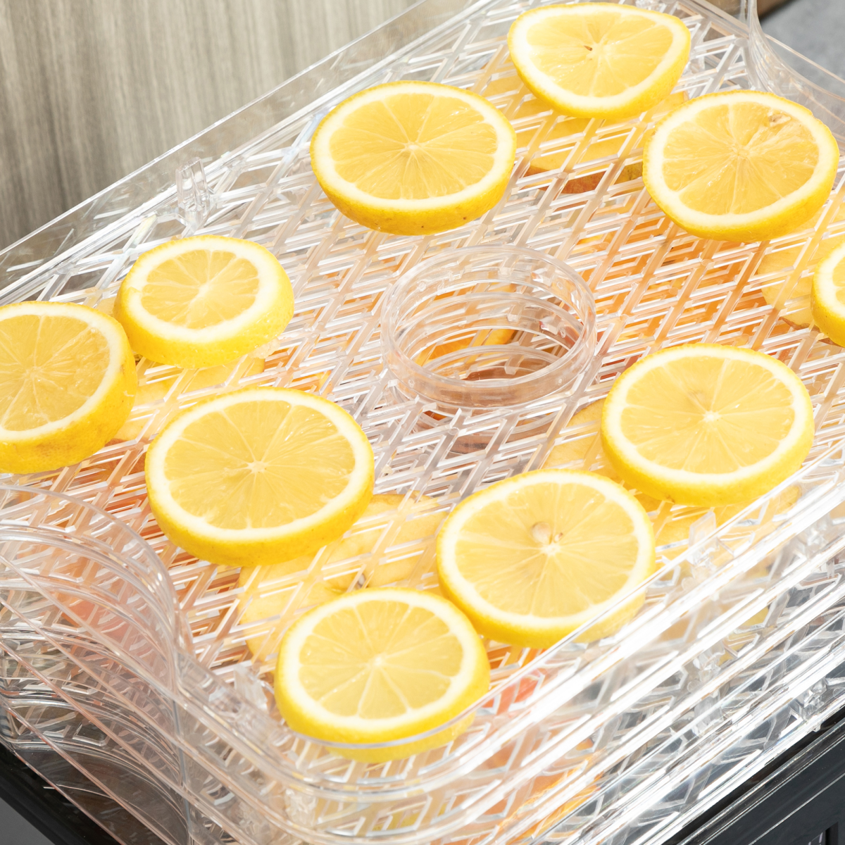 5 Tier Food Dehydrator 245W Stainless Steel Food Dryer Machine Timer LCD