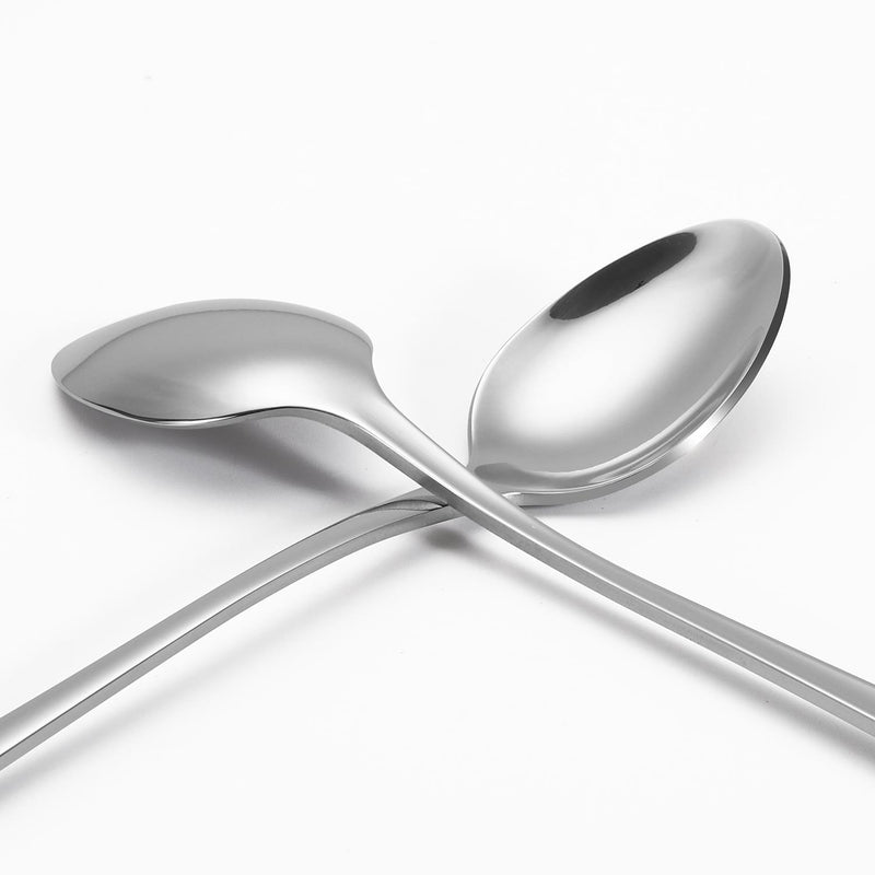 12pcs SSLong Hndle Latte Spns