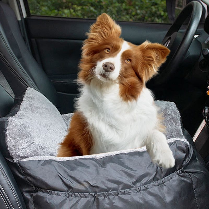 Dog Car Seat Black, Plush Booster Seat for Small Dogs and Cats with Safety Leash image 2