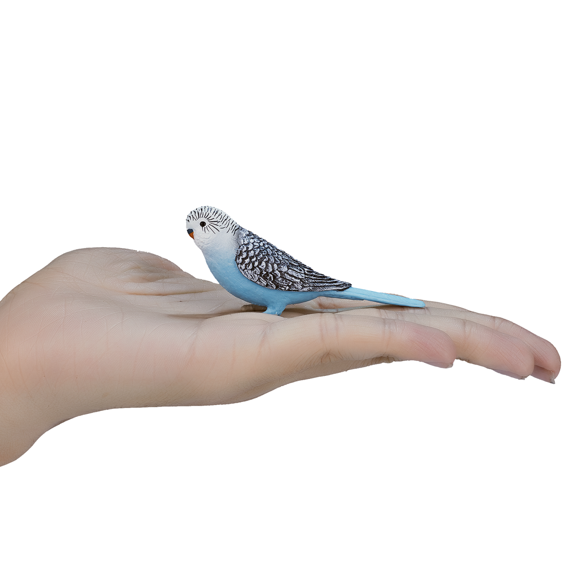 Blue Budgerigar Toy  Realistic Exotic Bird Figurine image 3