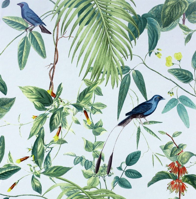 Exotic Garden Blue Wallpaper image 0